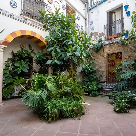 Apartamento Bhost - Cañas Córdoba