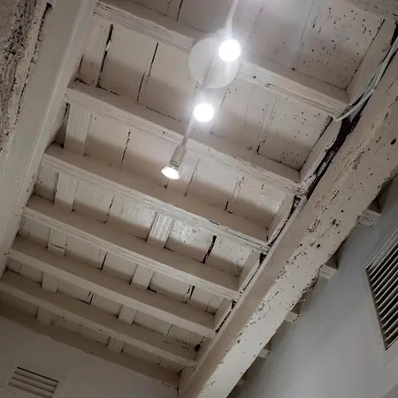 Bhost - Cañas Córdoba