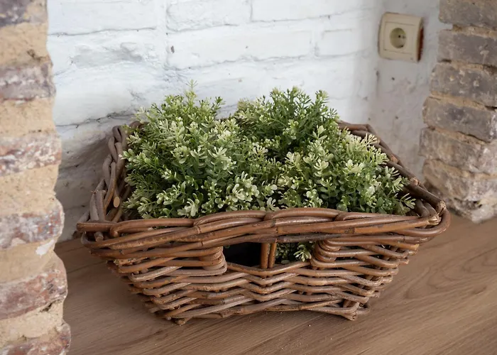 Bhost - Canas Apartment Cordoba