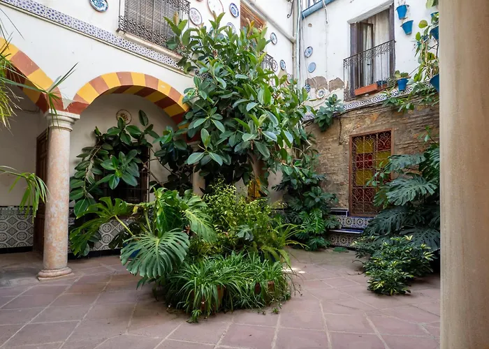 Apartment Bhost - Canas Cordoba