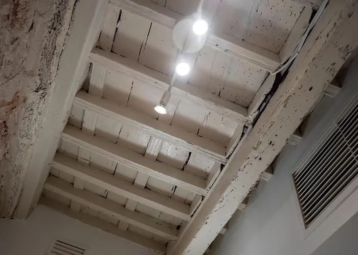 Bhost - Canas Cordoba